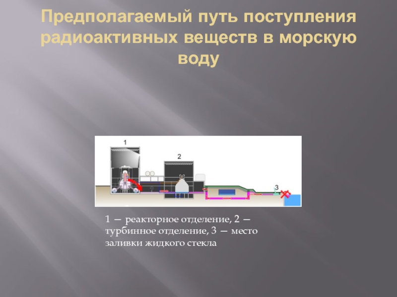 Предполагаемый путь поступления радиоактивных веществ в морскую воду 1 — реакторное отделение, 2 — турбинное отделение, 3