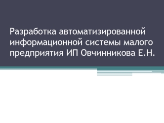 Разработка автоматизированной информационной системы малого предприятия
