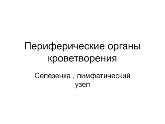 Периферические органы кроветворения. Селезенка, лимфатический узел