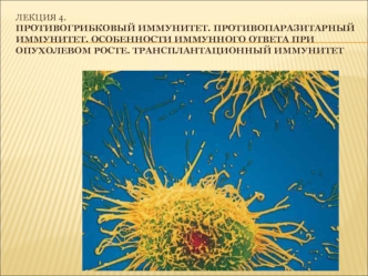 Противогрибковый иммунитет. Противопаразитарный иммунитет