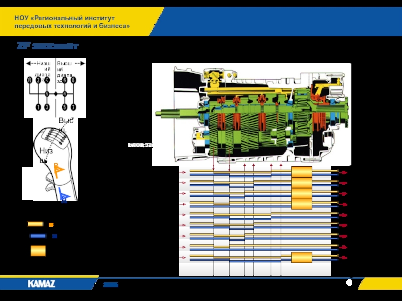 НОУ «Региональный институт передовых технологий и бизнеса»2015ZF экосплит 1-я 2-я 3-я 4-я 5-я 6-я