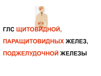 ГЛС щитовидной, паращитовидных желез, поджелудочной железы