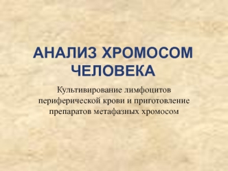 Анализ хромосом человека. Культивирование лимфоцитов периферической крови и приготовление препаратов метафазных хромосом