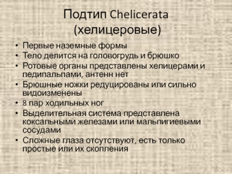 Подтип Chelicerata (хелицеровые)