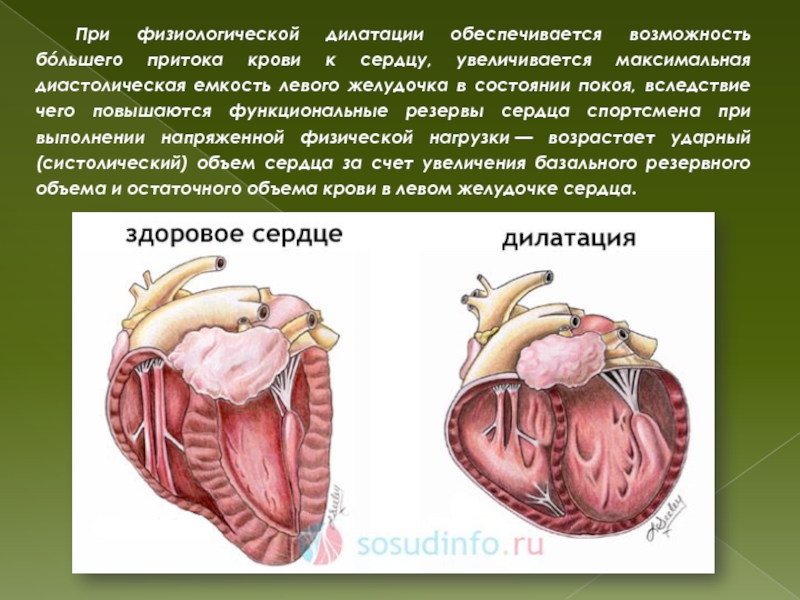 Какая кровь в левом желудочке сердца
