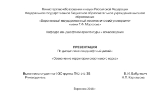 Презентация1