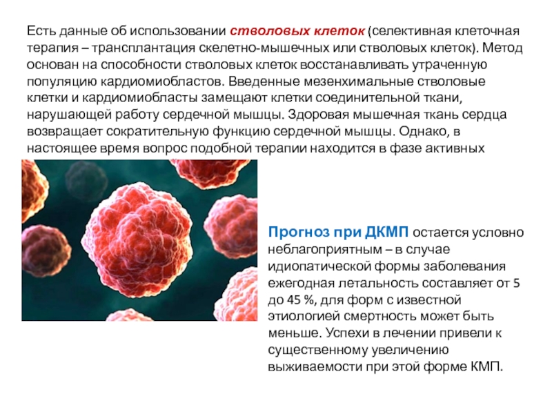 Чем опасны стволовые клетки. Источники мезенхимальных стволовых клеток. Клеточная терапия. Перспективы клеточной терапии стволовых клеток. Мезенхимальные стволовые клетки костного мозга.