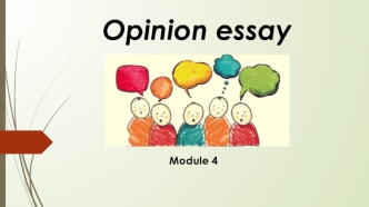 Opinion essay