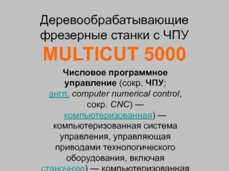 Деревообрабатывающие фрезерные станки с ЧПУ MULTICUT 5000