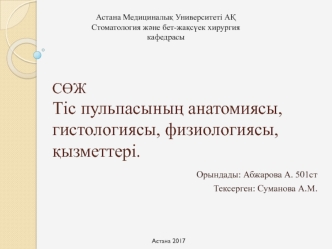 Тіс пульпасының анатомиясы, гистологиясы, физиологиясы, қызметтері