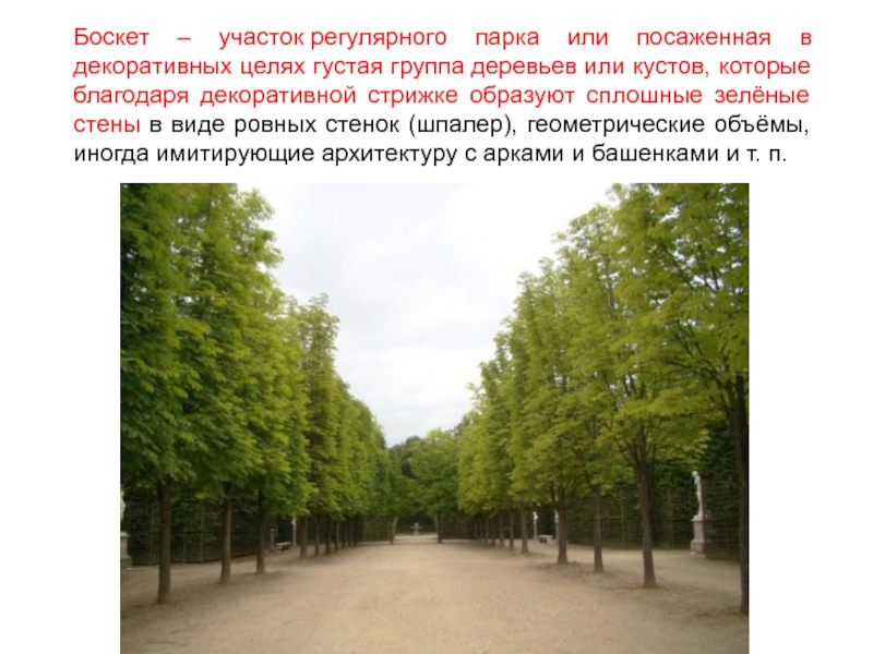 Вид ровно. Патрон Боскет. Группа густо растущих деревьев 4. Сниженный Боскет. Боскет ударение.