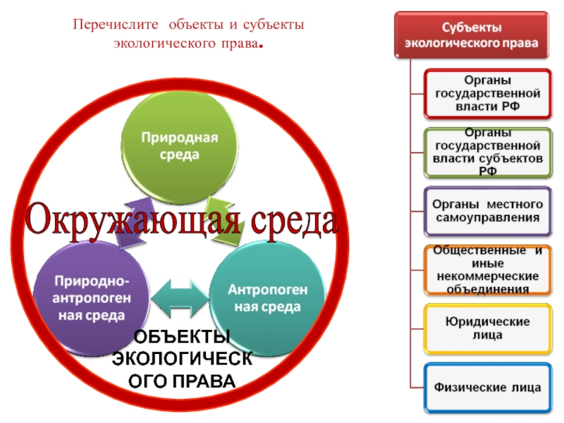 Типы объектов среды