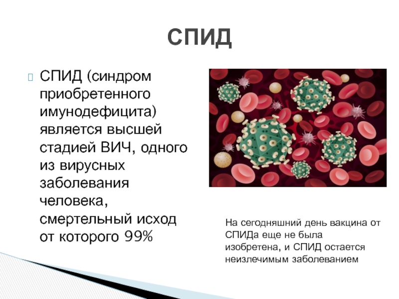 Презентация на тему вирусные заболевания