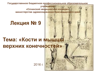 Кости и мышцы верхних конечностей. (Лекция 9)