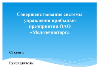 Система управления прибылью предприятия OAO Молодечноторг