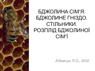 Бджолина сім’я. Бджолине гніздо. Стільники. Розплід бджолиної сім’ї