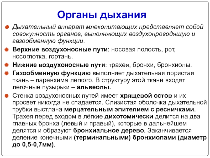 Совокупность органов. Функции воздухопроводящих путей. Функции воздухопроводящих путей дыхательной системы. Функцию нижние воздухопроводящие пути. Дыхательную или газообменную функцию осуществляют.