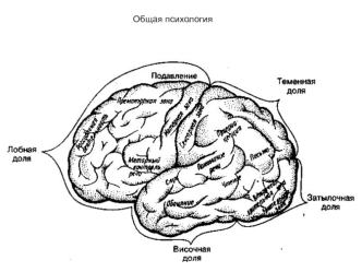 Общая психология