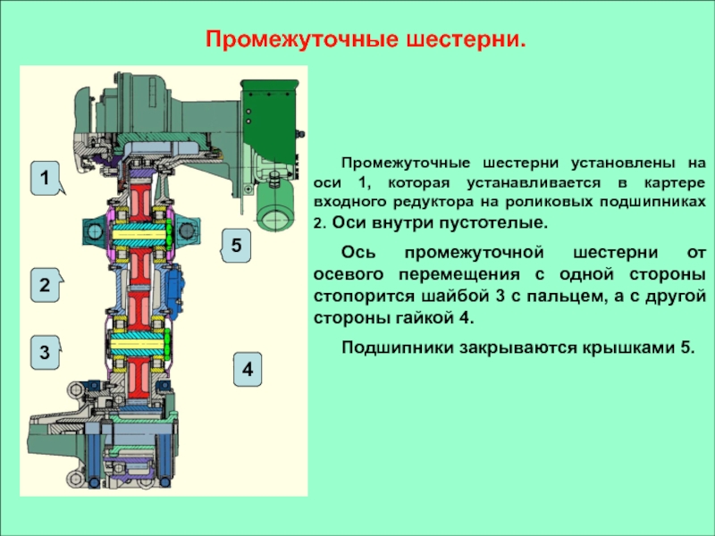 Ось перемещения. Подшипник осевого перемещения. Промежуточные оси. Пустотелый ось шестерни КМБ. Устройство и характеристика оси промежуточной шестерни.