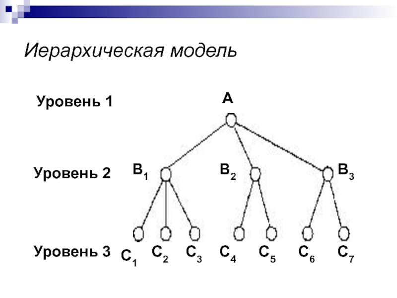 Иерархическая система деятельности