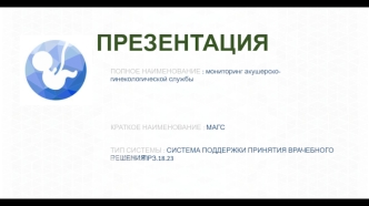 Презентация МАГС21.06.брянск