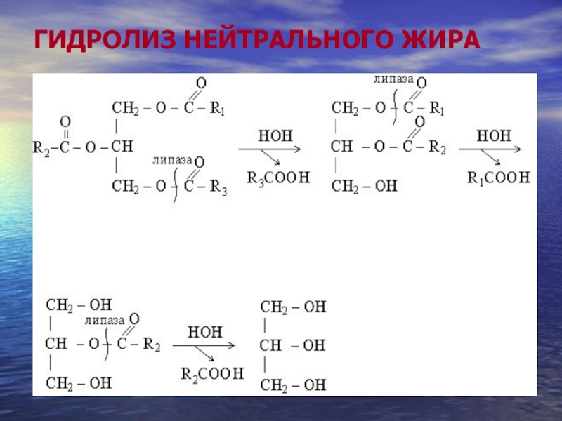 Нейтральные жиры. Строение нейтральных жиров. Нейтральные жиры строение. Особенности строения нейтральных жиров. Формула нейтрального жира.