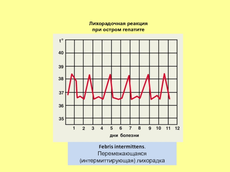 Интермиттирующая схема это