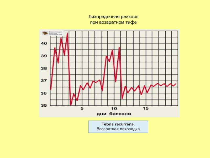 Возвратная лихорадка. Заболевания при возвратной лихорадки. Возвратная лихорадка характерна для. Возвратная периодическая лихорадка.