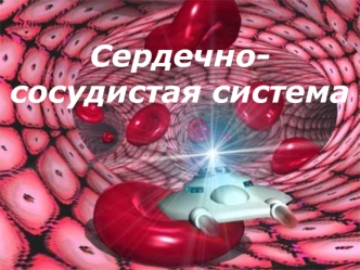 Сердечнососудистая система