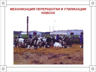 Механизация переработки и утилизации навоза