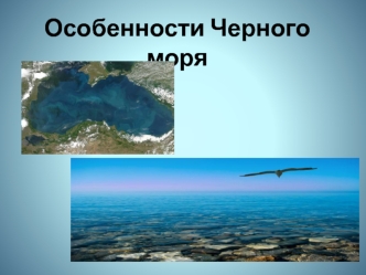 Особенности Черного моря