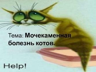 Мочекаменная болезнь котов