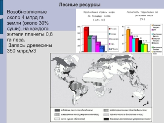 Леса мира