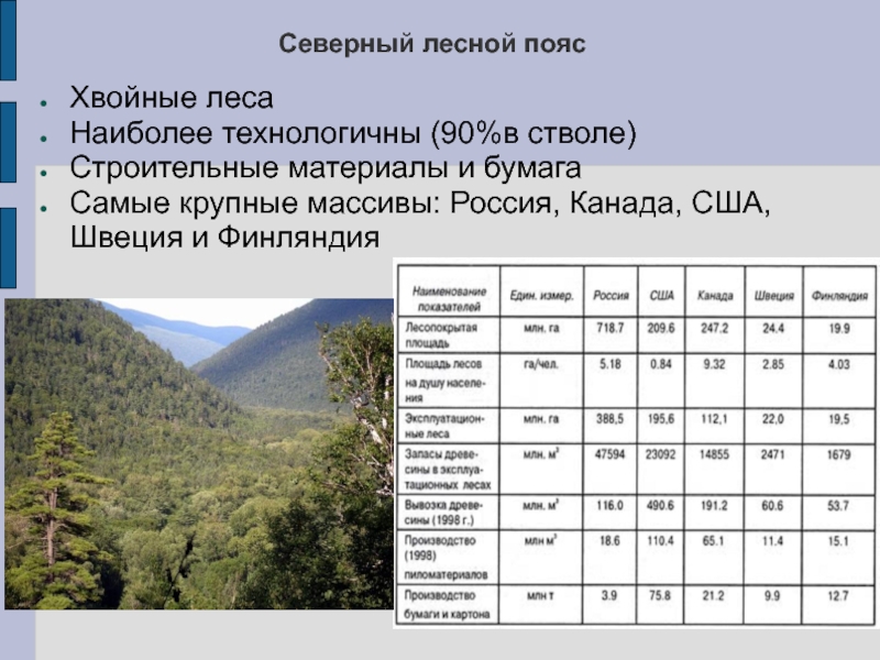 Страны относящиеся к хвойному поясу