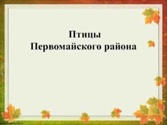 Птицы Первомайского района