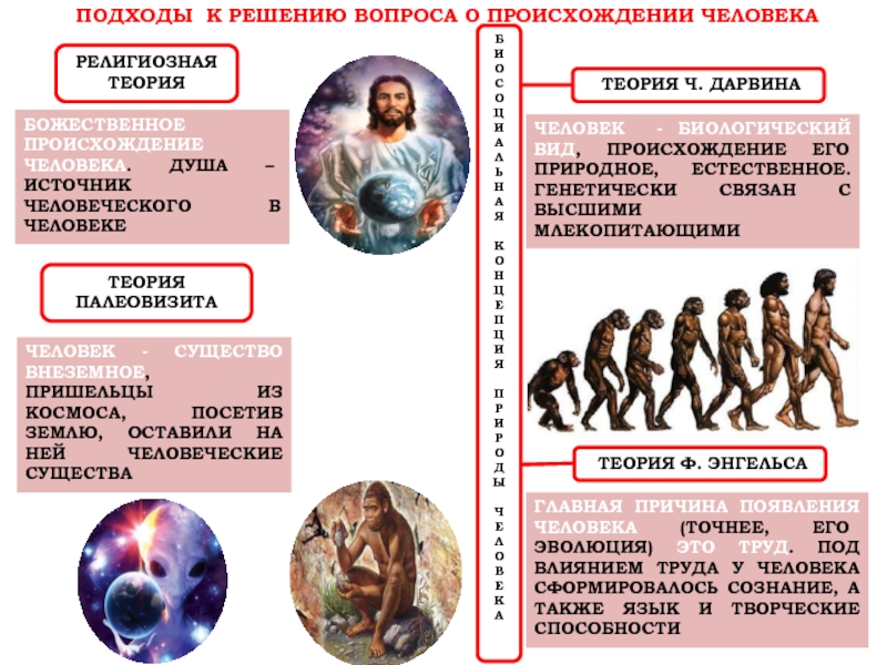 Таблица людей на земле. Происхождение человека. Теории происхождения человека. Гипотезы возникновения человека. Гипотезы происхождения человека.