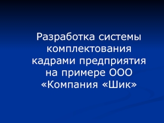 Разработка системы комплектования кадрами предприятия на примере ООО Компания Шик