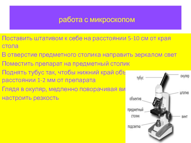 Какую функцию зеркало в микроскопе. Отверстие предметного столика микроскопа это. Порядок работы с микроскопом. Предметный столик микроскопа. Последовательность подготовки микроскопа к работе.