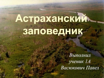 Астраханский заповедник