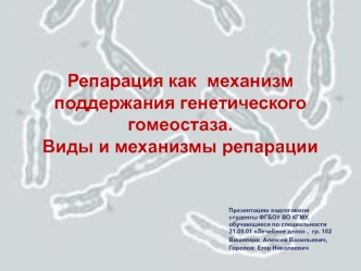 Репарация как механизм поддержания генетического гомеостаза. Виды и механизмы репарации