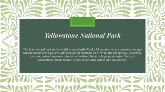 Yellowstone National Park