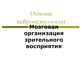 Основы нейропсихологии. Мозговая организация зрительного восприятия