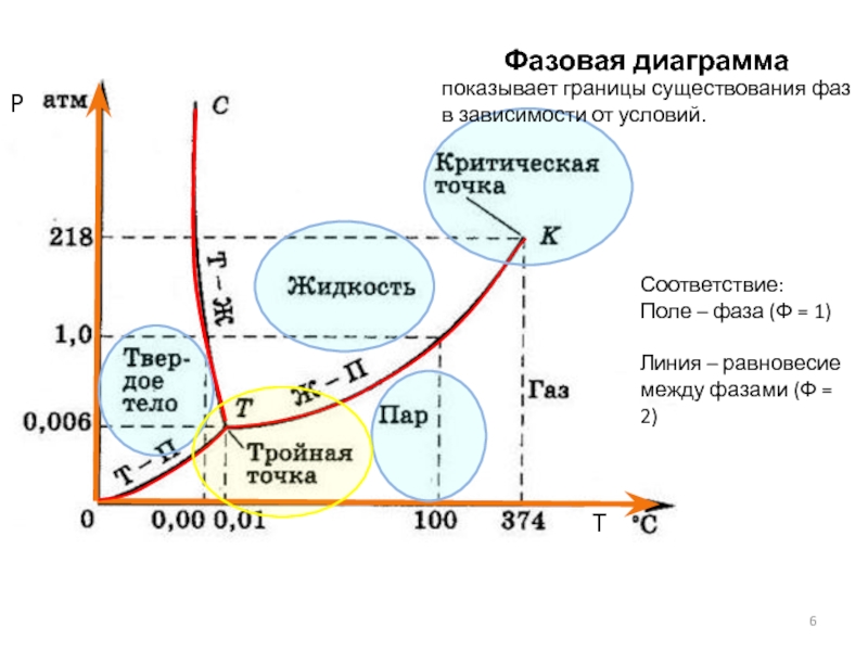 Фазовые поля на диаграмме