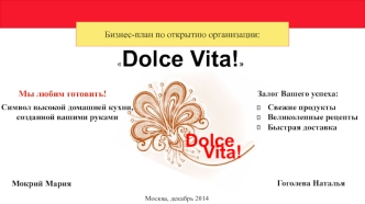 Бизнес-план по открытию организации Dolce Vita