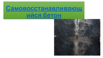 Самовосстанавливающийся бетон