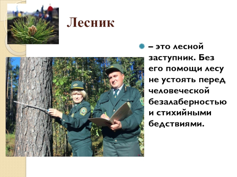 Лесник описание