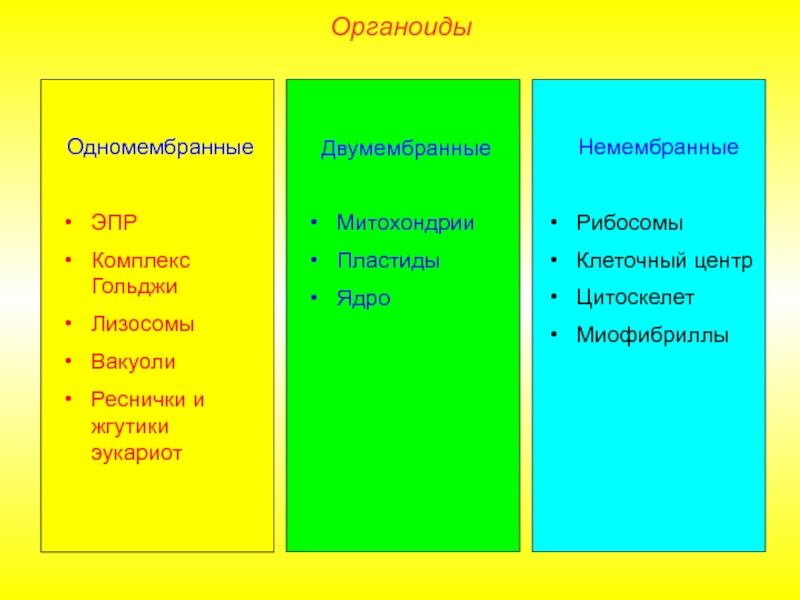 Схема органоиды одномембранные двумембранные немембранные