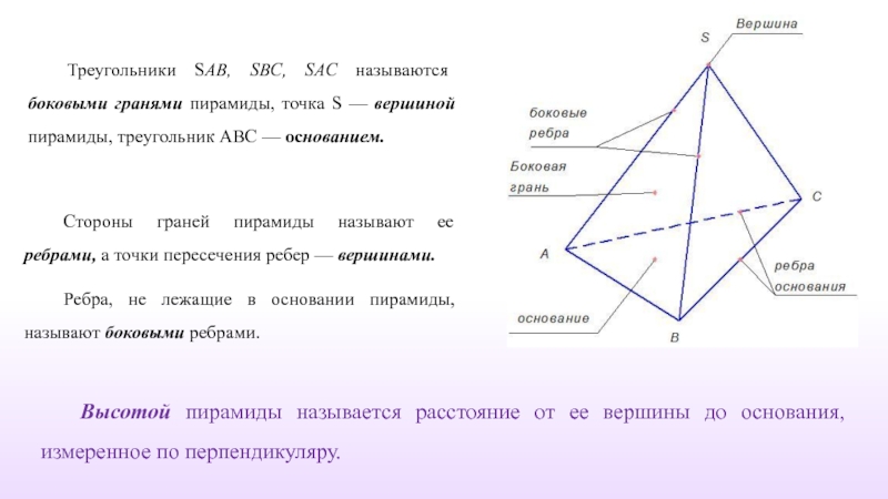 Сколько ребер имеет пирамида. Вершины треугольной пирамиды. Ребра треугольной пирамиды. Пирамида грани ребра вершины. Боковые грани треугольной пирамиды.