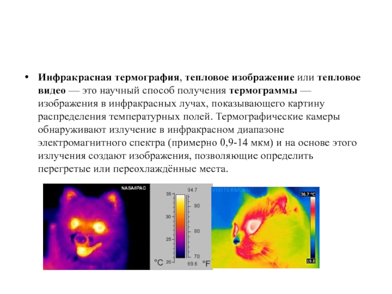 Медицинская термография презентация