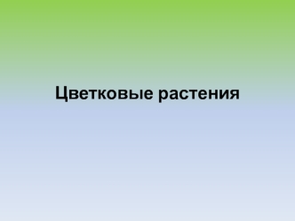 Цветковые растения